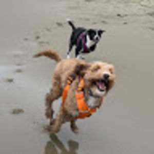 Meet your Posher, Caroline